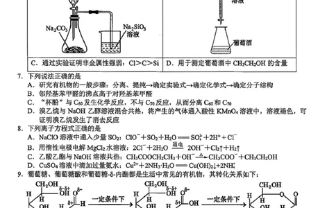 2026届浙江新阵地教育联盟高三上学期第一次模拟预测化学试题_2025年10月_2510092026届浙江新阵地教育联盟高三上学期第一次模拟