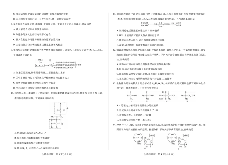 生物学天一大联考&middot;2025-2026学年高一年级阶段性测试（一）_1多考区联考试卷_251030天一大联考&middot;2025-2026学年高一年级阶段性测试（一）（全）