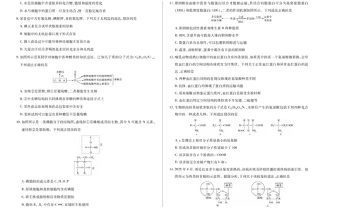 生物学天一大联考&middot;2025-2026学年高一年级阶段性测试（一）_1多考区联考试卷_251030天一大联考&middot;2025-2026学年高一年级阶段性测试（一）（全）