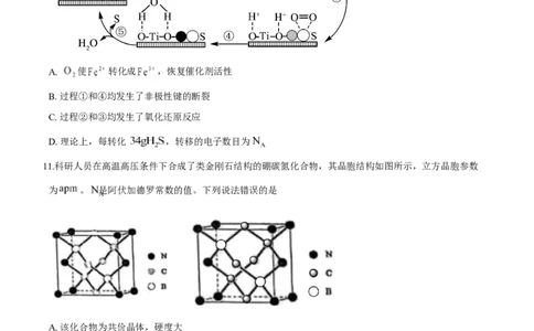 2025年1月山西、陕西、宁夏、青海普通高等学校招生考试适应性测试（八省联考）化学试题Word版无答案_2025年1月_❤2025年高考综合改革适应性演练（八省联考）(1)
