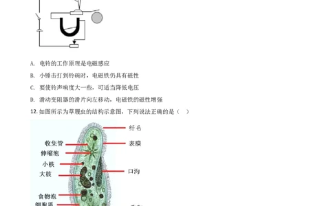 精品解析：浙江省绍兴市2020年中考科学试题（原卷版）_中考真题_7.政治中考真题2015-2024年_2020政治真题79份_2020年中考真题精品解析科学（浙江绍兴卷）精编word版