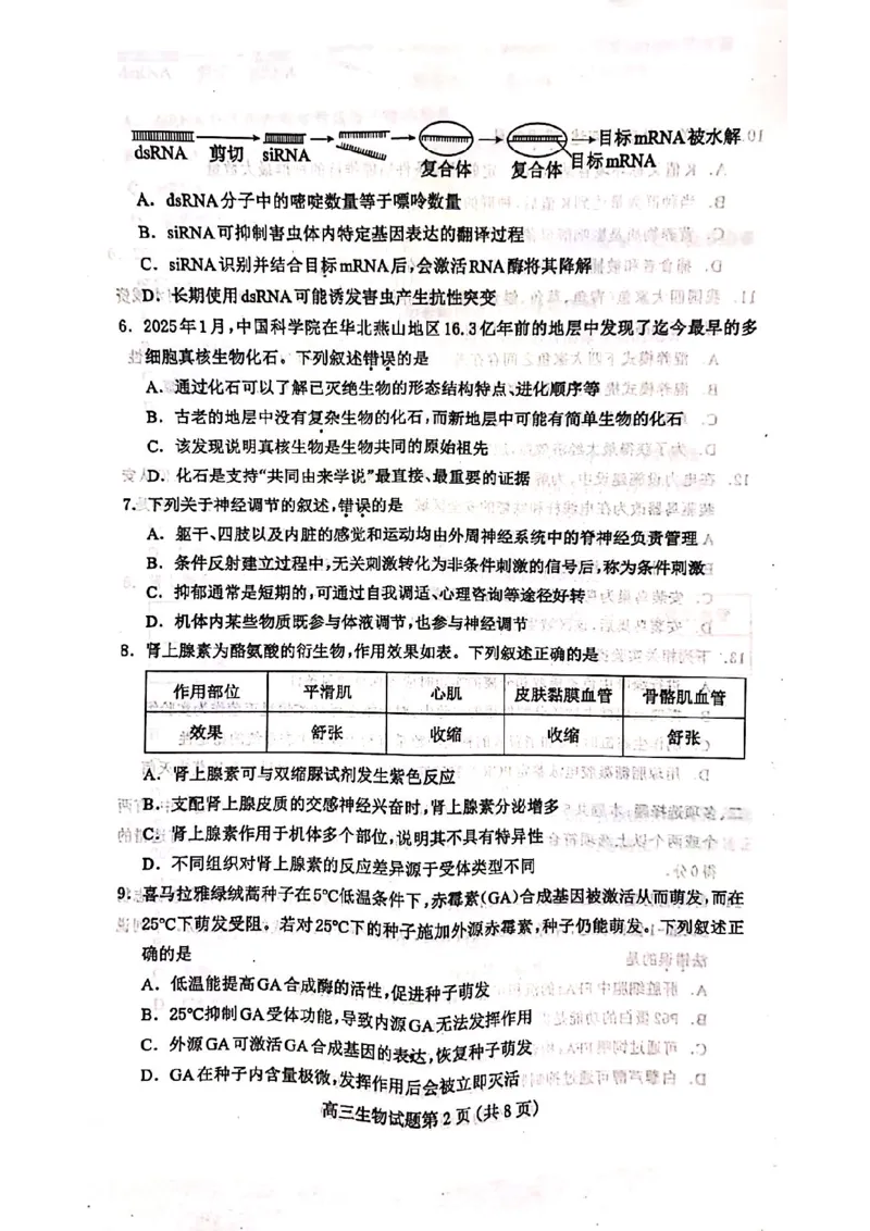 2025届河北省保定市高三一模考试生物试题_2025年4月_2504092025届河北省保定市高三一模试题