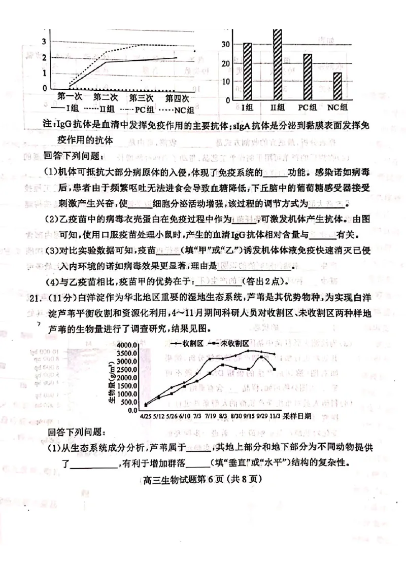 2025届河北省保定市高三一模考试生物试题_2025年4月_2504092025届河北省保定市高三一模试题