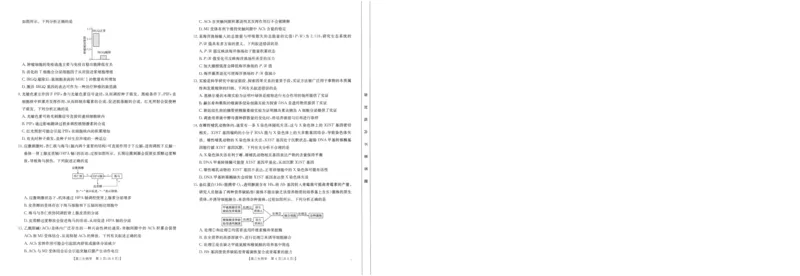 2025届陕西省汉中市高三下学期质量检测考试（二模）生物试题_2025年4月_2504062025届陕西省汉中市高三下学期质量检测考试（二模）（全科）
