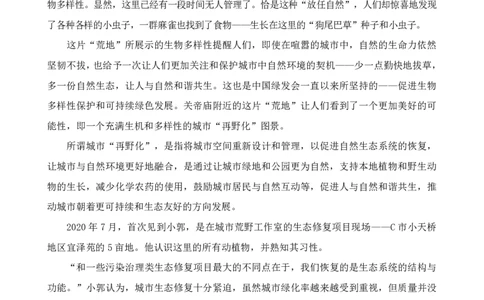 （3）四海25下半年2期套题班《申论》_2026考公资料_（01）花生十三_03套题班2026年花生十三行测申论套题二期_题本_申论（地市和副省级都是同一套）