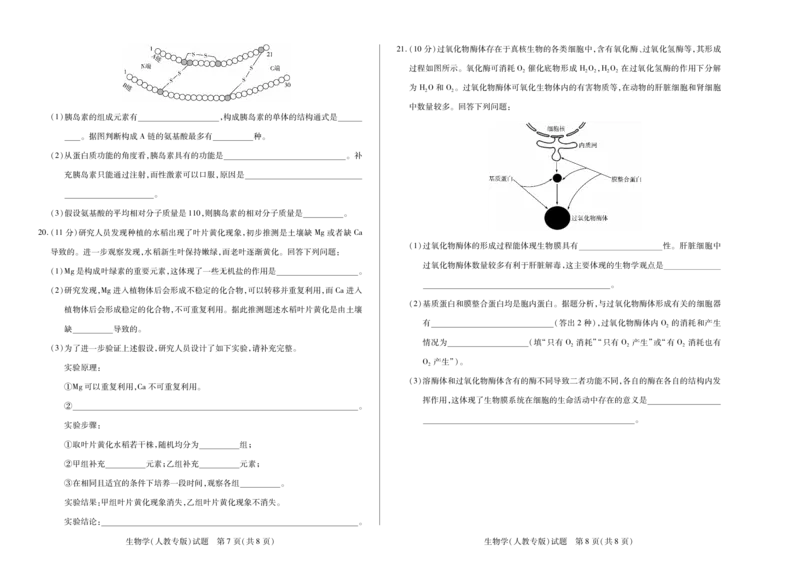 生物SX天一大联考陕西、山西省高一阶段性检测（一）_1多考区联考试卷_251030天一大联考&middot;2025-2026学年高一年级阶段性测试（一）（全）