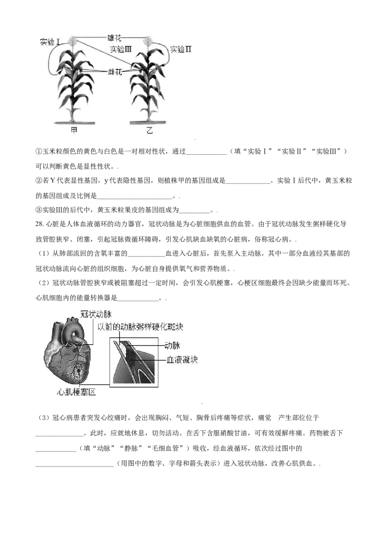 精品解析：山东省东营市2021年中考生物试题（原卷版）_中考真题_8.生物中考真题2015-2024年_2021中考生物真题64份_2021山东省_精品解析：山东省东营市2021年中考生物试题