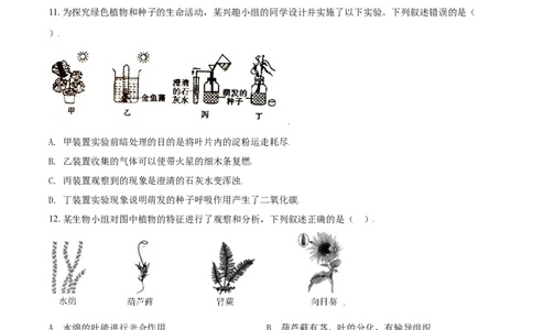 精品解析：山东省东营市2021年中考生物试题（原卷版）_中考真题_8.生物中考真题2015-2024年_2021中考生物真题64份_2021山东省_精品解析：山东省东营市2021年中考生物试题