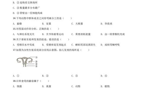 精品解析：福建省2019年中考生物试题（原卷版）_中考真题_8.生物中考真题2015-2024年_2019年全国中考生物92份_2019年中考真题精品解析生物（福建省）精编word版