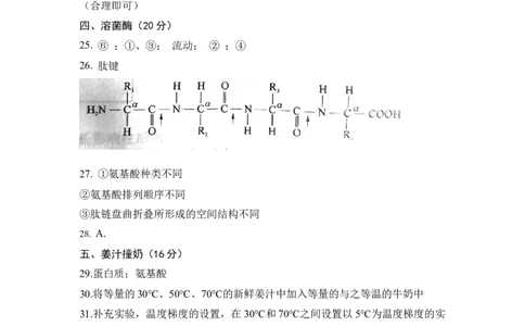 高一生物期中模拟卷（参考答案）（上海专用）_1多考区联考试卷_1021高一期中模拟卷（上海专用）黄金卷：2024-2025学年高一上学期期中模拟考试