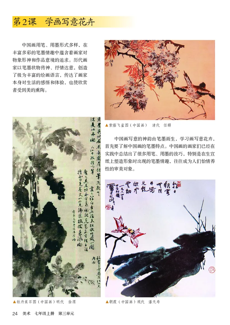 鲁教版7年级美术上册高清教材_4-教培资料-26年最新资料-同步更新_初中高中教资_03科三专项（进去保存报考的学科即可）_02科三专项（笔记真题思维导图教学设计版本二）