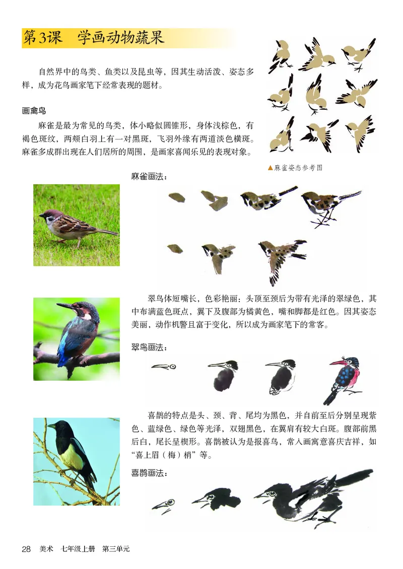 鲁教版7年级美术上册高清教材_4-教培资料-26年最新资料-同步更新_初中高中教资_03科三专项（进去保存报考的学科即可）_02科三专项（笔记真题思维导图教学设计版本二）