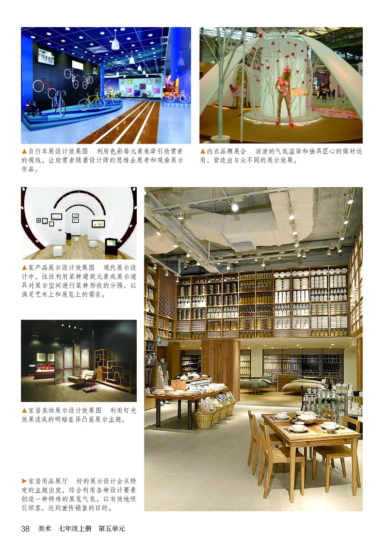 鲁教版7年级美术上册高清教材_4-教培资料-26年最新资料-同步更新_初中高中教资_03科三专项（进去保存报考的学科即可）_02科三专项（笔记真题思维导图教学设计版本二）