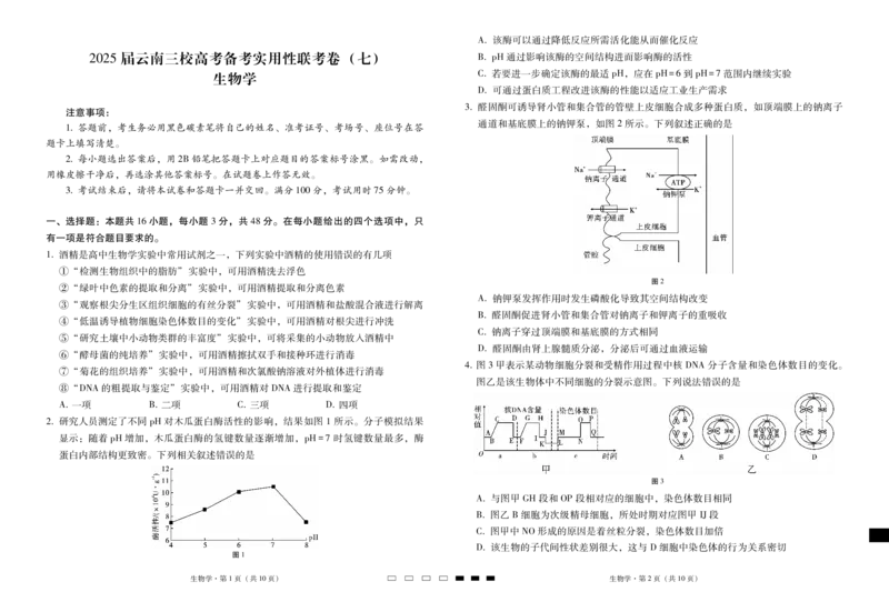 2025届云南三校高考备考实用性联考卷（七）生物_2025年3月_250324云南省三校2025届高三下学期3月高考备考实用性联考卷（七）（全科）_2025届云南三校高考备考实用性联考卷（七）生物