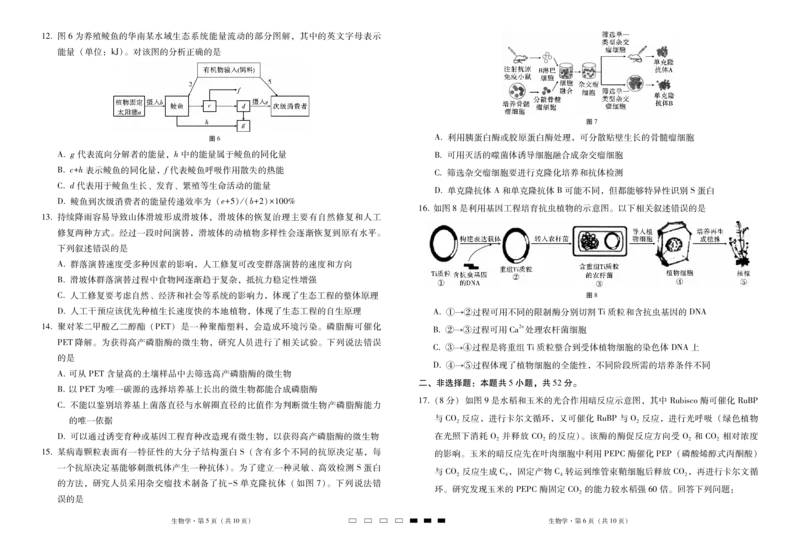 2025届云南三校高考备考实用性联考卷（七）生物_2025年3月_250324云南省三校2025届高三下学期3月高考备考实用性联考卷（七）（全科）_2025届云南三校高考备考实用性联考卷（七）生物