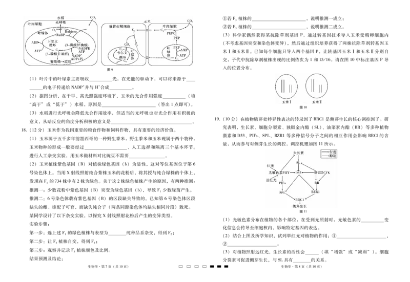 2025届云南三校高考备考实用性联考卷（七）生物_2025年3月_250324云南省三校2025届高三下学期3月高考备考实用性联考卷（七）（全科）_2025届云南三校高考备考实用性联考卷（七）生物