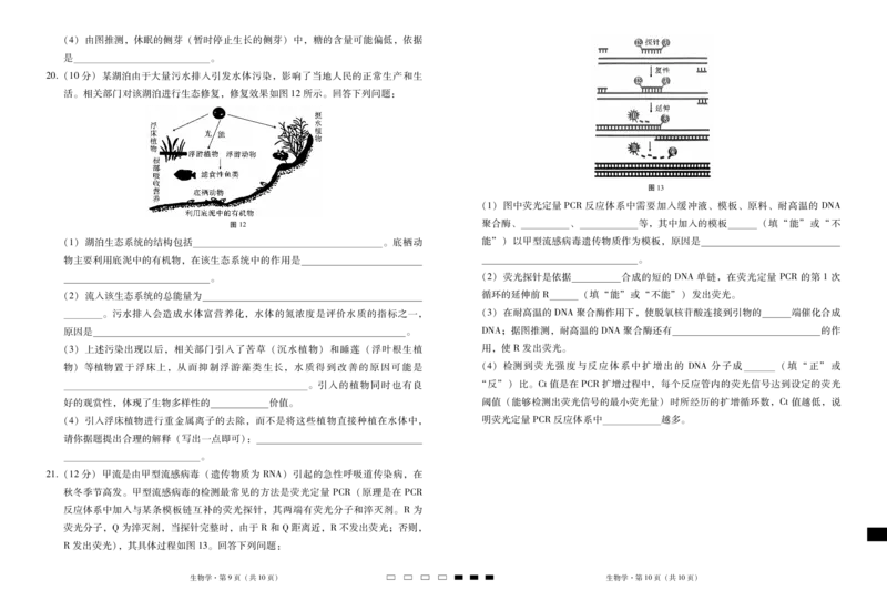 2025届云南三校高考备考实用性联考卷（七）生物_2025年3月_250324云南省三校2025届高三下学期3月高考备考实用性联考卷（七）（全科）_2025届云南三校高考备考实用性联考卷（七）生物
