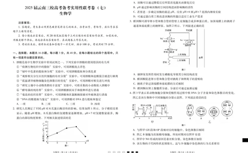 2025届云南三校高考备考实用性联考卷（七）生物_2025年3月_250324云南省三校2025届高三下学期3月高考备考实用性联考卷（七）（全科）_2025届云南三校高考备考实用性联考卷（七）生物