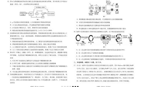 2025届云南三校高考备考实用性联考卷（七）生物_2025年3月_250324云南省三校2025届高三下学期3月高考备考实用性联考卷（七）（全科）_2025届云南三校高考备考实用性联考卷（七）生物