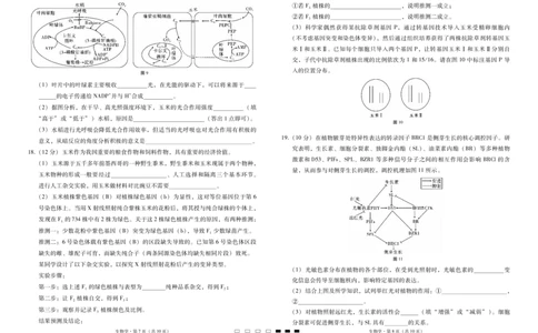 2025届云南三校高考备考实用性联考卷（七）生物_2025年3月_250324云南省三校2025届高三下学期3月高考备考实用性联考卷（七）（全科）_2025届云南三校高考备考实用性联考卷（七）生物