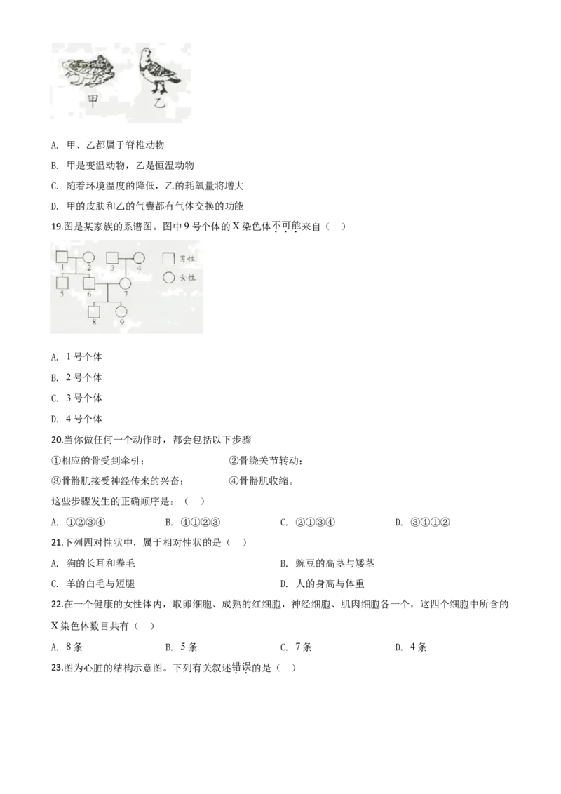 精品解析：湖南省邵阳市2020年中考生物试题（原卷版）_中考真题_8.生物中考真题2015-2024年_2020生物真题74份_2020年中考真题解析生物(湖南邵阳卷)精编word版