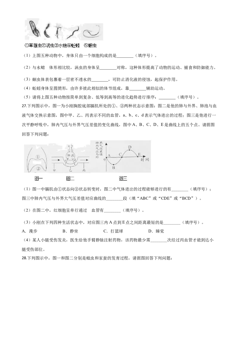 精品解析：湖南省邵阳市2020年中考生物试题（原卷版）_中考真题_8.生物中考真题2015-2024年_2020生物真题74份_2020年中考真题解析生物(湖南邵阳卷)精编word版