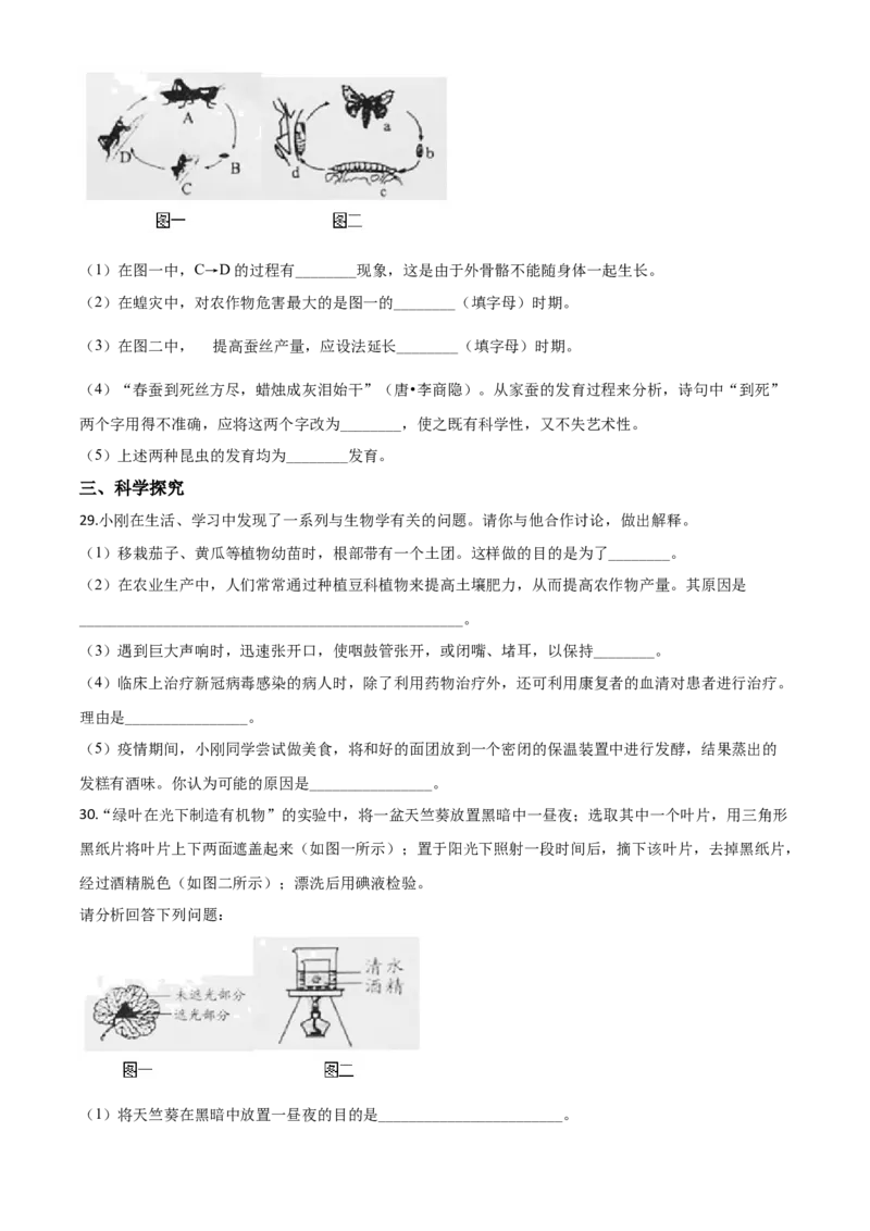 精品解析：湖南省邵阳市2020年中考生物试题（原卷版）_中考真题_8.生物中考真题2015-2024年_2020生物真题74份_2020年中考真题解析生物(湖南邵阳卷)精编word版