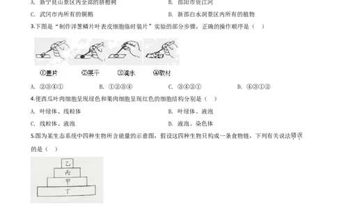 精品解析：湖南省邵阳市2020年中考生物试题（原卷版）_中考真题_8.生物中考真题2015-2024年_2020生物真题74份_2020年中考真题解析生物(湖南邵阳卷)精编word版
