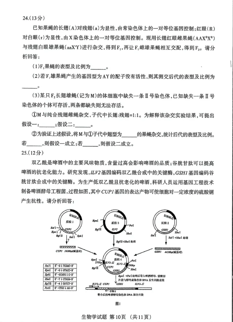 内蒙古自治区呼和浩特市2025届高三第一次模拟考试生物_2025年3月_250314内蒙古自治区呼和浩特市2025届高三第一次模拟考试（鄂尔多斯市，阿拉善盟）（全科）