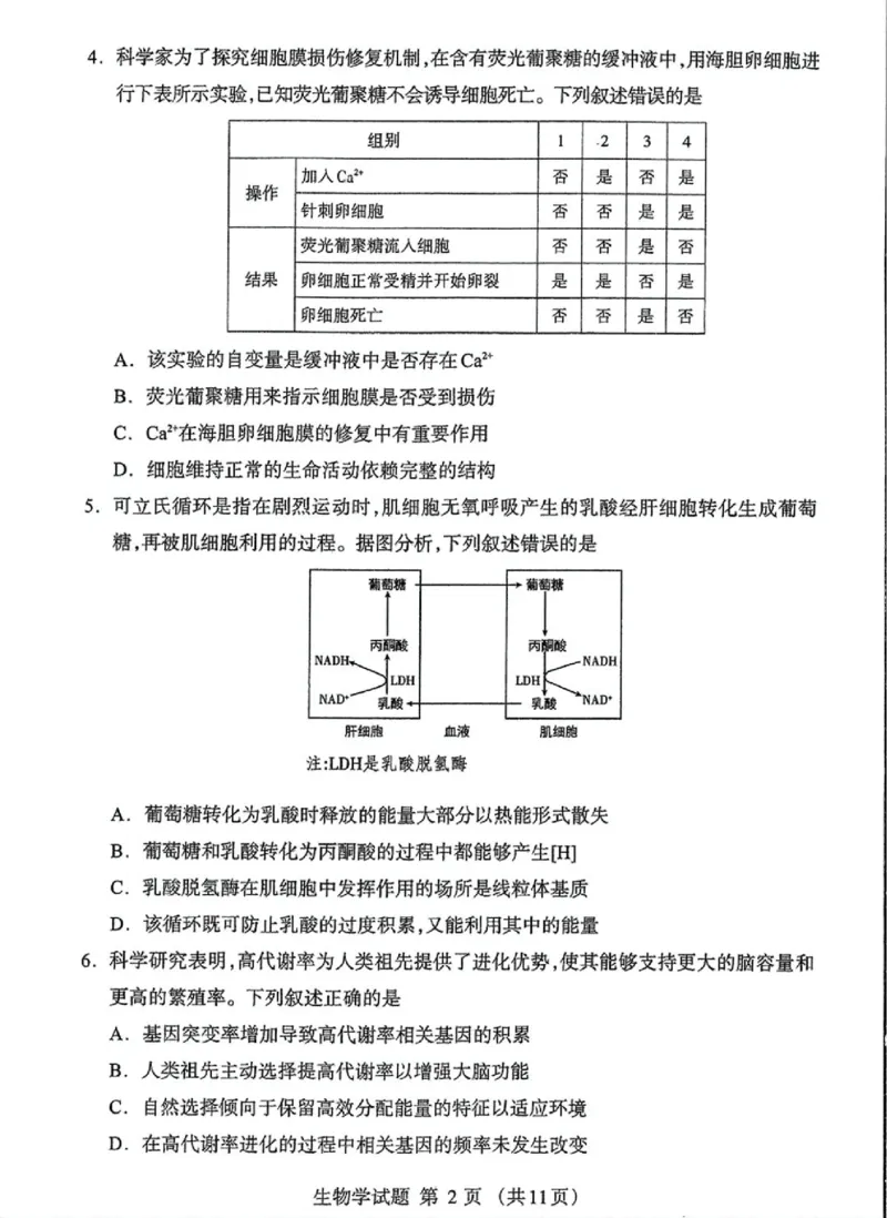 内蒙古自治区呼和浩特市2025届高三第一次模拟考试生物_2025年3月_250314内蒙古自治区呼和浩特市2025届高三第一次模拟考试（鄂尔多斯市，阿拉善盟）（全科）