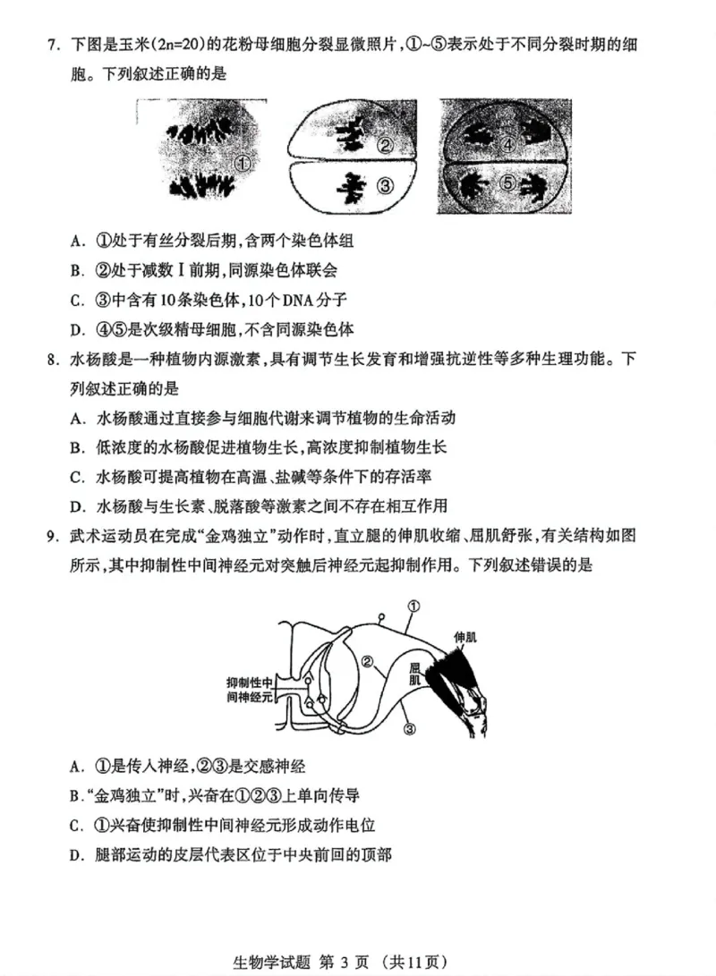 内蒙古自治区呼和浩特市2025届高三第一次模拟考试生物_2025年3月_250314内蒙古自治区呼和浩特市2025届高三第一次模拟考试（鄂尔多斯市，阿拉善盟）（全科）