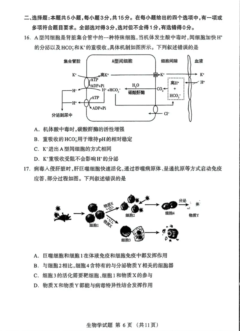 内蒙古自治区呼和浩特市2025届高三第一次模拟考试生物_2025年3月_250314内蒙古自治区呼和浩特市2025届高三第一次模拟考试（鄂尔多斯市，阿拉善盟）（全科）