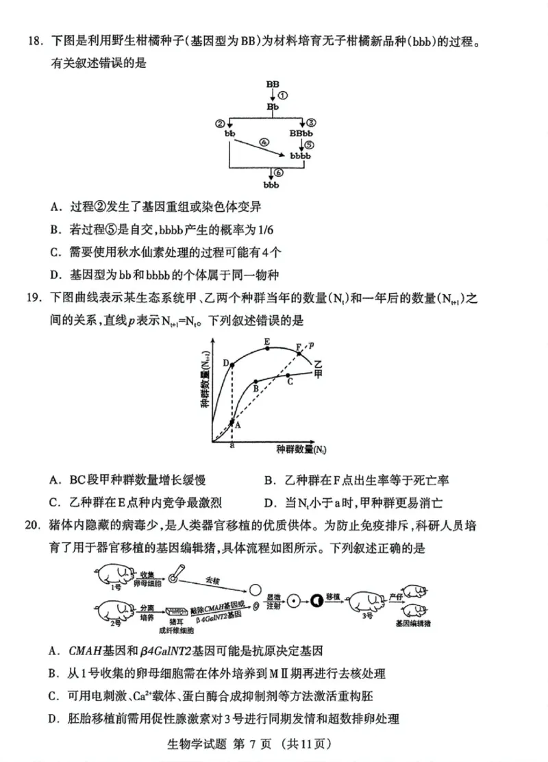 内蒙古自治区呼和浩特市2025届高三第一次模拟考试生物_2025年3月_250314内蒙古自治区呼和浩特市2025届高三第一次模拟考试（鄂尔多斯市，阿拉善盟）（全科）