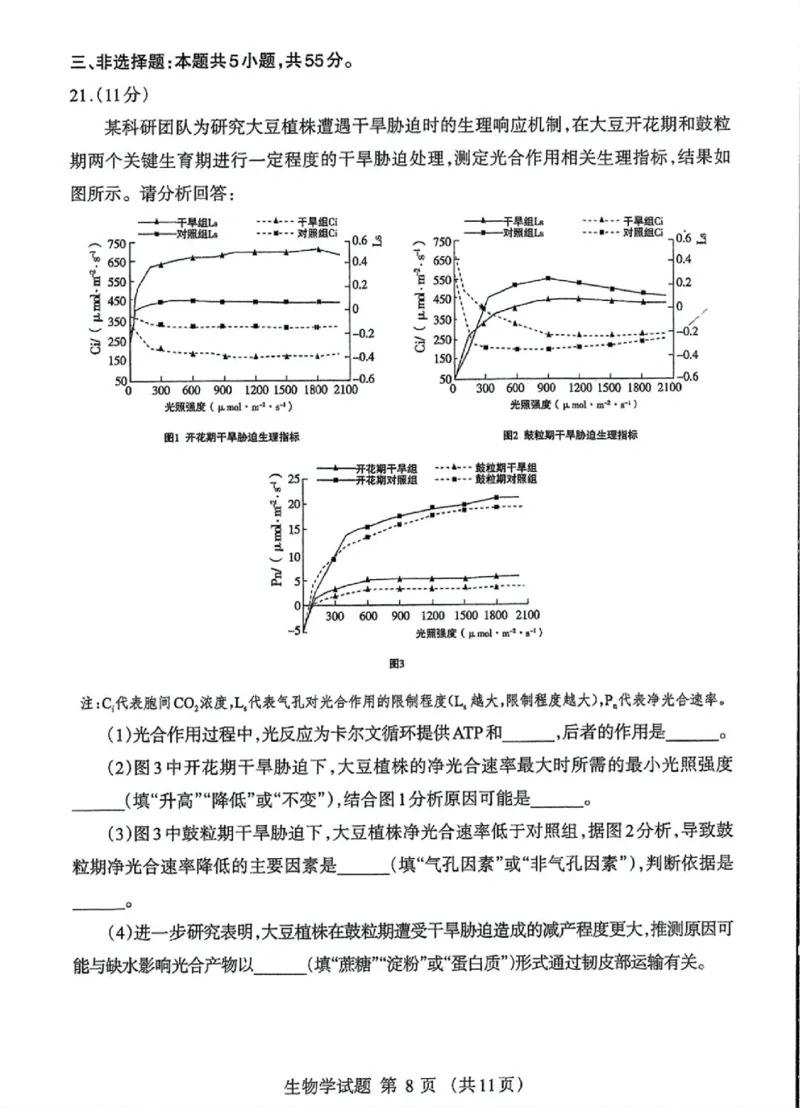 内蒙古自治区呼和浩特市2025届高三第一次模拟考试生物_2025年3月_250314内蒙古自治区呼和浩特市2025届高三第一次模拟考试（鄂尔多斯市，阿拉善盟）（全科）