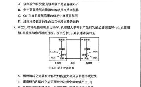 内蒙古自治区呼和浩特市2025届高三第一次模拟考试生物_2025年3月_250314内蒙古自治区呼和浩特市2025届高三第一次模拟考试（鄂尔多斯市，阿拉善盟）（全科）