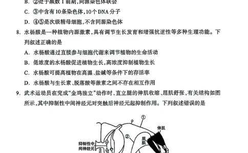 内蒙古自治区呼和浩特市2025届高三第一次模拟考试生物_2025年3月_250314内蒙古自治区呼和浩特市2025届高三第一次模拟考试（鄂尔多斯市，阿拉善盟）（全科）