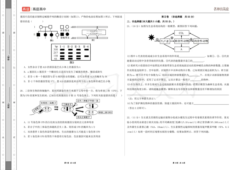 (8.20)-点睛押题卷&mdash;&mdash;黑龙江卷_2024高考押题卷_132024高途全系列_26高途点睛卷_2024点睛密卷-生物