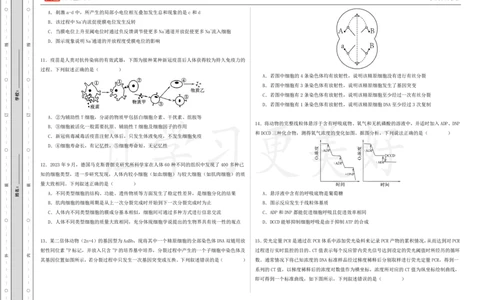 (8.20)-点睛押题卷&mdash;&mdash;黑龙江卷_2024高考押题卷_132024高途全系列_26高途点睛卷_2024点睛密卷-生物