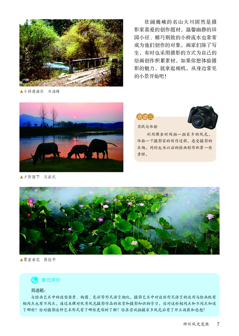 鲁教版9年级美术上册高清教材_4-教培资料-26年最新资料-同步更新_初中高中教资_03科三专项（进去保存报考的学科即可）_02科三专项（笔记真题思维导图教学设计版本二）