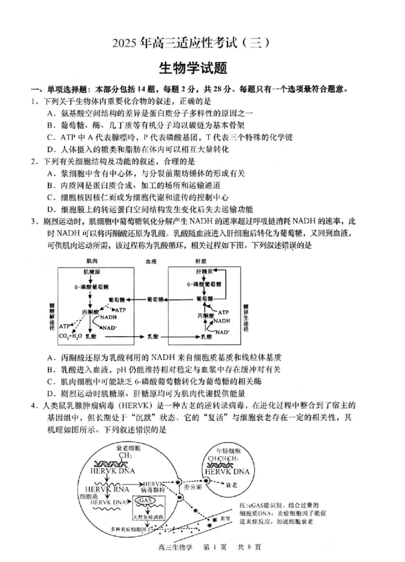 2025届江苏省如皋市高三适应性调研考试历史试卷（三）生物（含答案）_2025年5月_250523江苏省南通市如皋市2025届高三下学期高考适应性考试（三）（如皋3.5模）（全科）