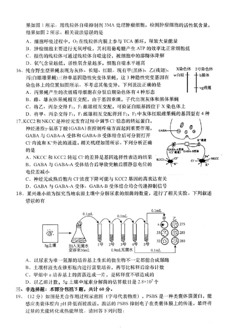 2025届江苏省如皋市高三适应性调研考试历史试卷（三）生物（含答案）_2025年5月_250523江苏省南通市如皋市2025届高三下学期高考适应性考试（三）（如皋3.5模）（全科）