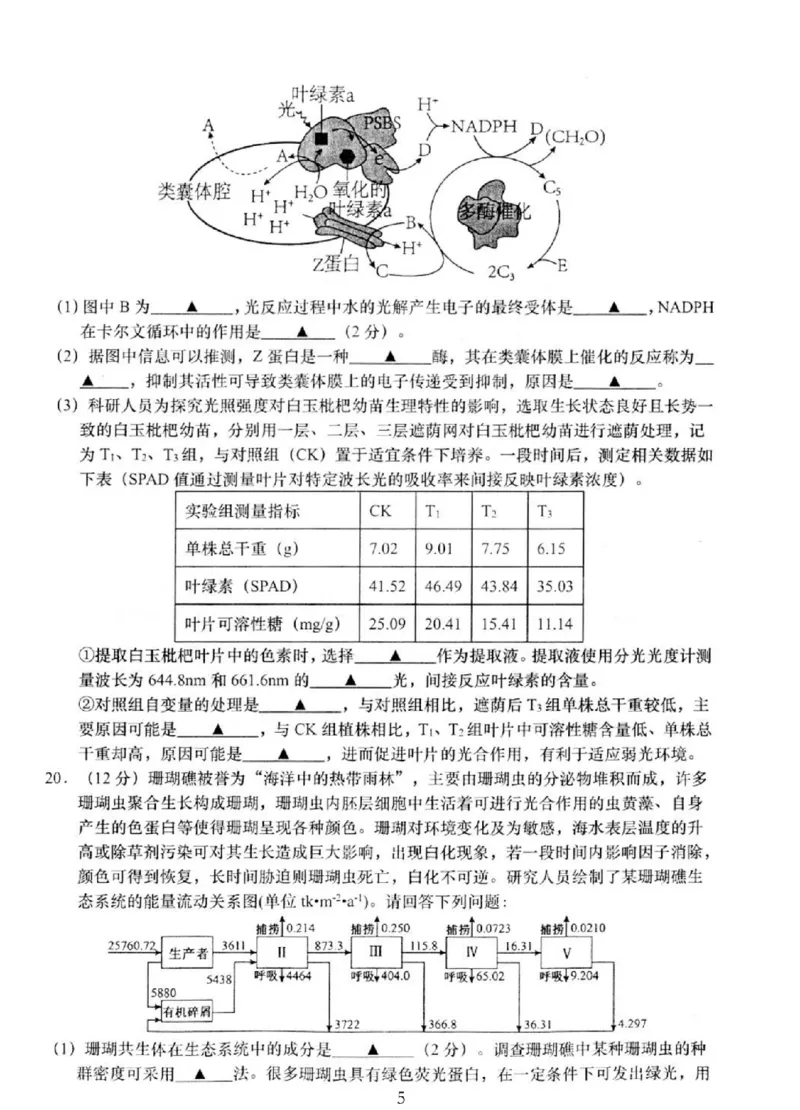 2025届江苏省如皋市高三适应性调研考试历史试卷（三）生物（含答案）_2025年5月_250523江苏省南通市如皋市2025届高三下学期高考适应性考试（三）（如皋3.5模）（全科）