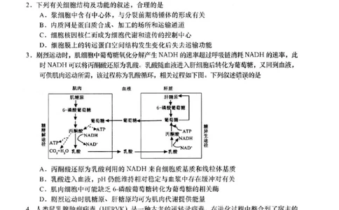 2025届江苏省如皋市高三适应性调研考试历史试卷（三）生物（含答案）_2025年5月_250523江苏省南通市如皋市2025届高三下学期高考适应性考试（三）（如皋3.5模）（全科）