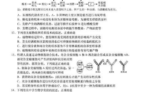 2025届江苏省如皋市高三适应性调研考试历史试卷（三）生物（含答案）_2025年5月_250523江苏省南通市如皋市2025届高三下学期高考适应性考试（三）（如皋3.5模）（全科）