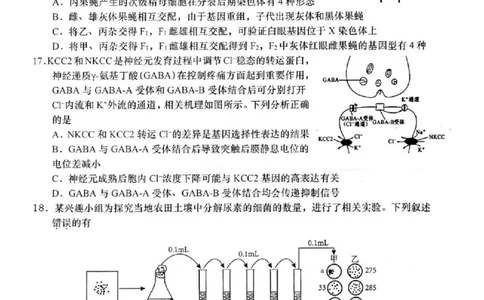 2025届江苏省如皋市高三适应性调研考试历史试卷（三）生物（含答案）_2025年5月_250523江苏省南通市如皋市2025届高三下学期高考适应性考试（三）（如皋3.5模）（全科）