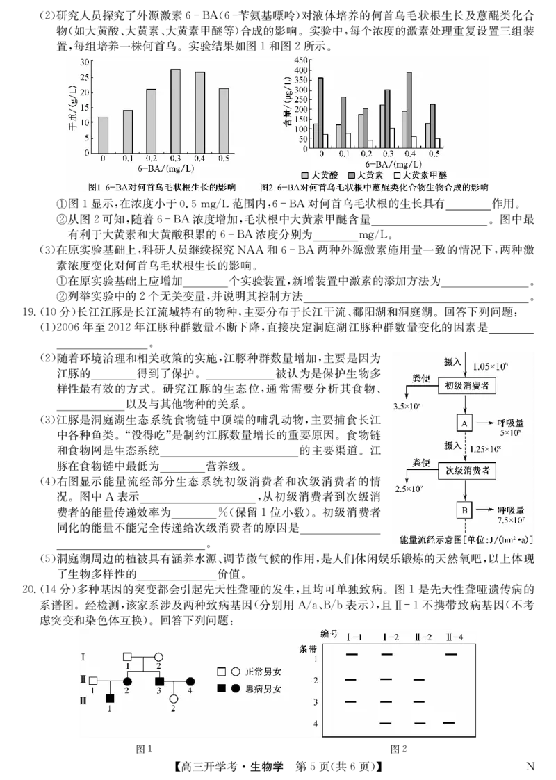 九师联盟2025届高三下学期2月开学考试生物_2025年2月_250210九师联盟2025届高三下学期2月开学考试试题（全科）_九师联盟2025届高三下学期2月开学考试生物