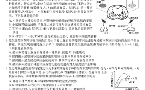 九师联盟2025届高三下学期2月开学考试生物_2025年2月_250210九师联盟2025届高三下学期2月开学考试试题（全科）_九师联盟2025届高三下学期2月开学考试生物