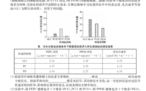 九师联盟2025届高三下学期2月开学考试生物_2025年2月_250210九师联盟2025届高三下学期2月开学考试试题（全科）_九师联盟2025届高三下学期2月开学考试生物