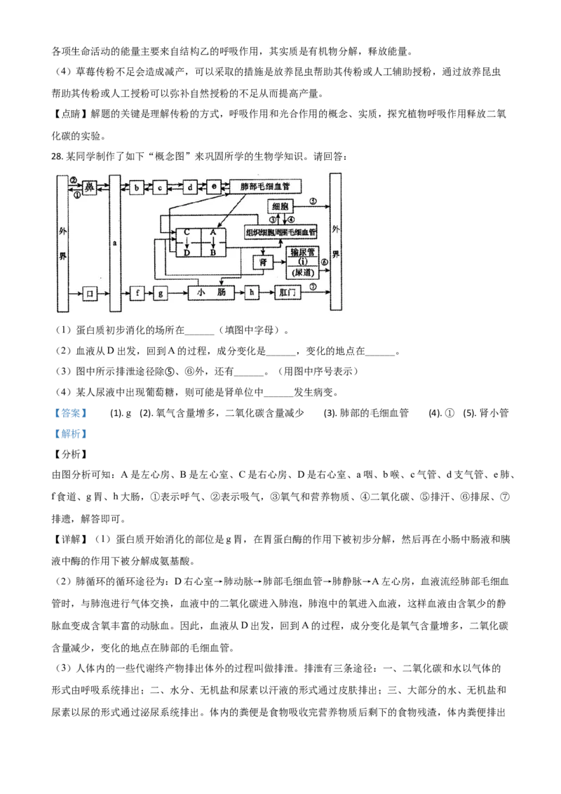 精品解析：内蒙古赤峰市2020年中考生物试题（解析版）_中考真题_8.生物中考真题2015-2024年_2020生物真题74份_2020年中考真题精品解析生物（内蒙古赤峰卷）精编word版