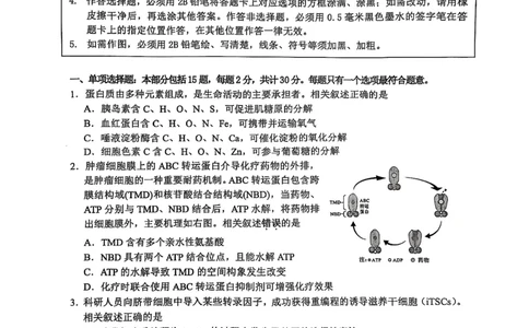 2025届江苏省高品质高中高三下学期5月调研测试生物试卷_2025年5月_05192025届江苏省高品质高中高三下学期5月调研测试_2025届江苏省高品质高中高三下学期5月调研测试生物试卷